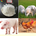 Active Pharmaceutical Veterinary Drugs API Tilmicosin Phosphate USP Price for Poultry